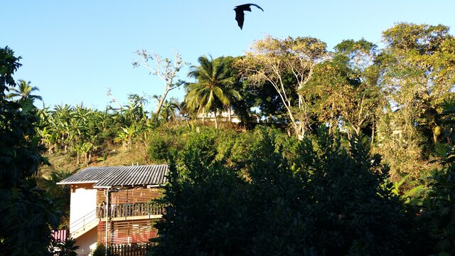 Jardin de Sylvie